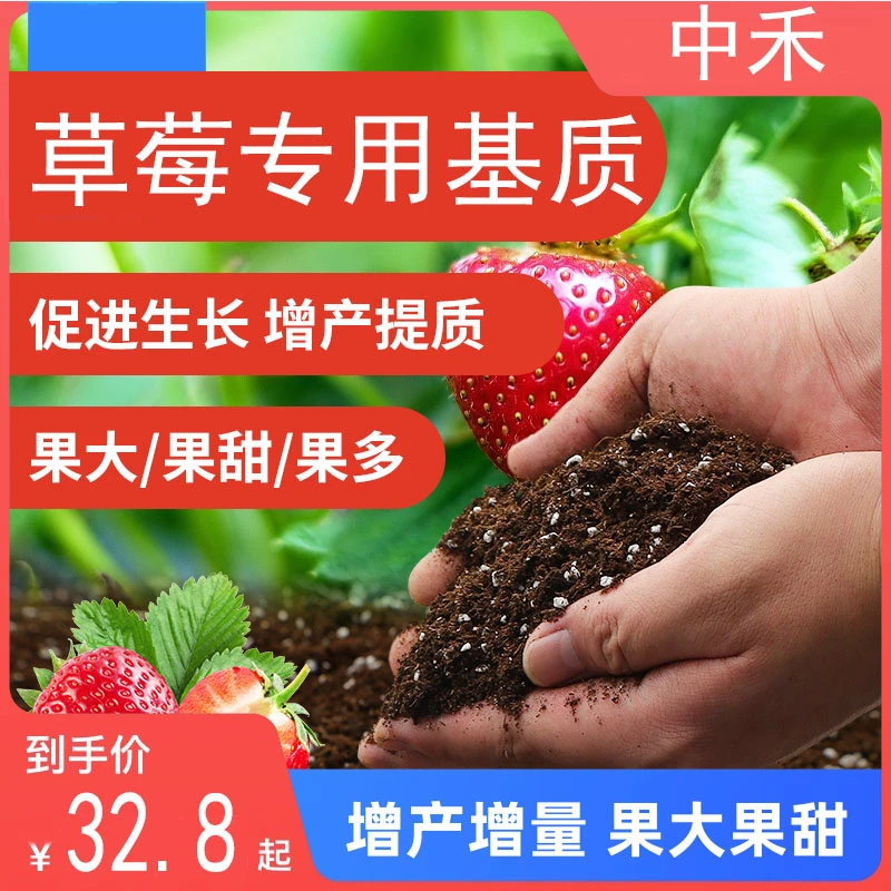 草莓育苗基质营养土