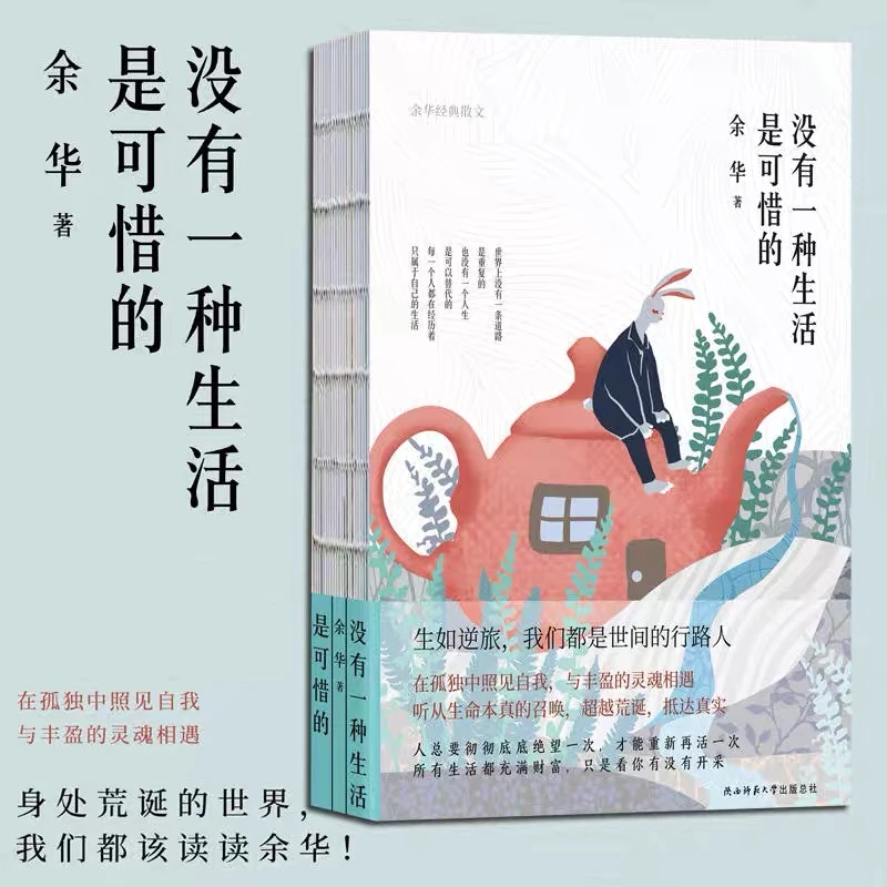 没有一种生活是可惜的(继《活着》之后,余华再论人生与自我)(