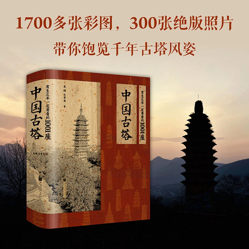 【当当】【杨爸图说】推荐 有生之年一定要看的1001座中国古塔 10