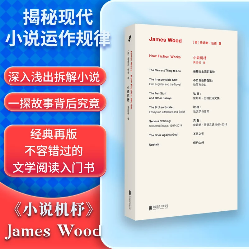 詹姆斯·伍德系列：小说机杼