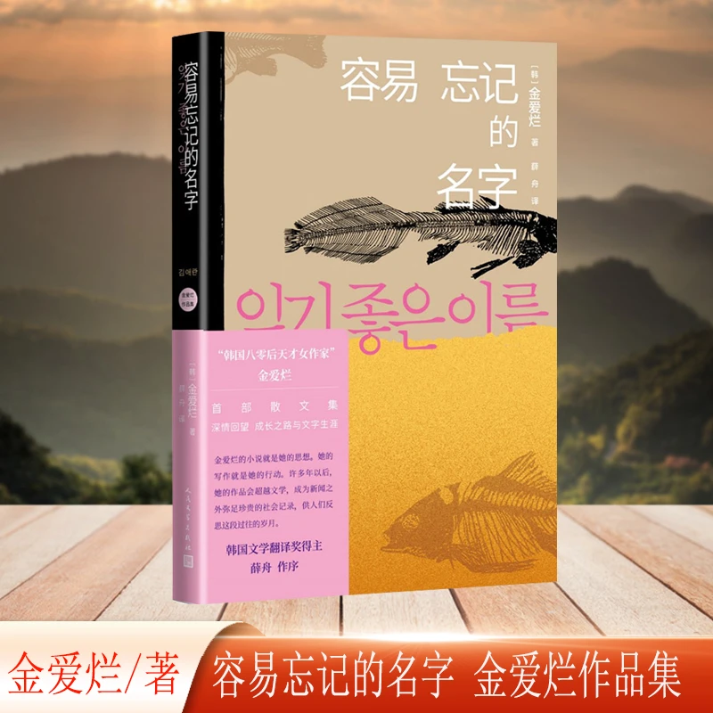 容易忘记的名字（金爱烂作品集）