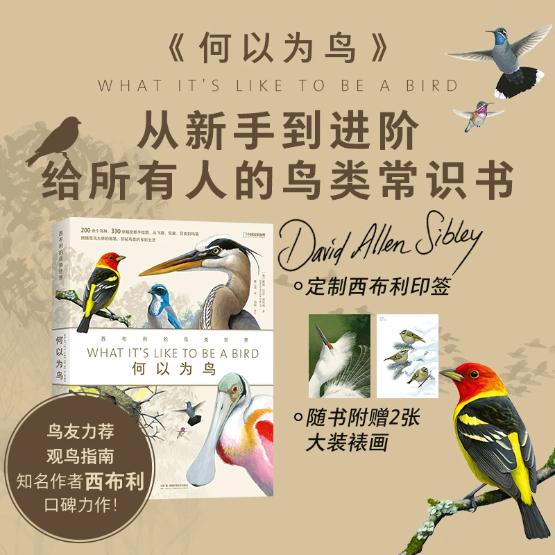 【当当】何以为鸟：西布利的鸟类世界