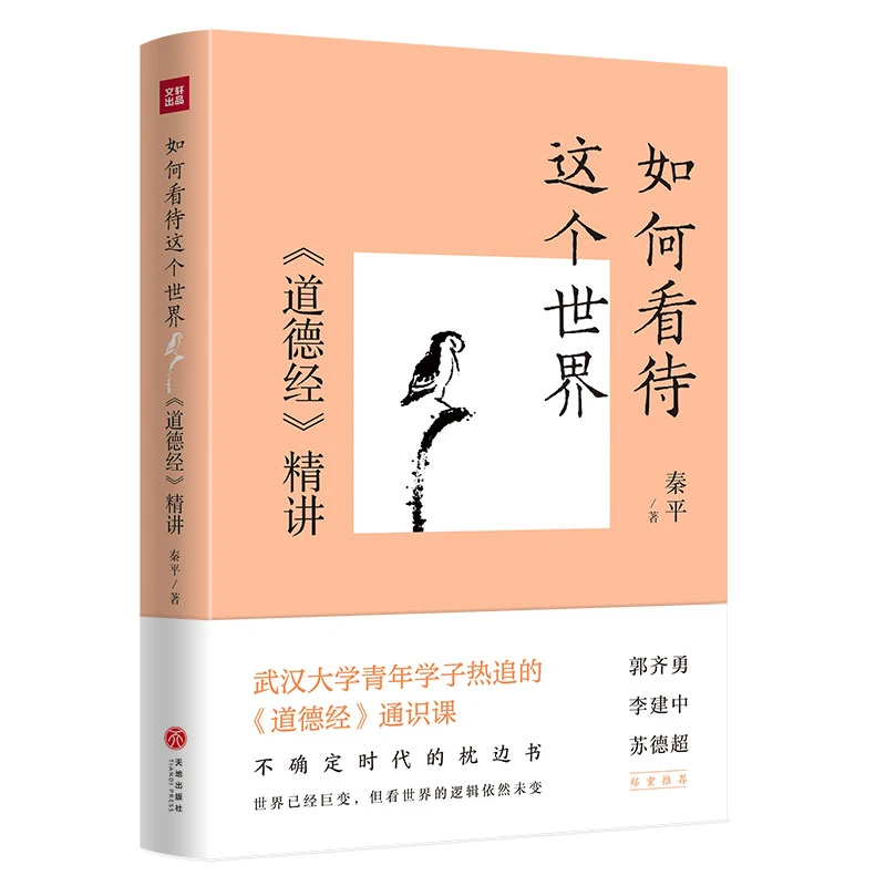 【当当】如何看待这个世界:《道德经》精讲(读懂《道德经》的真