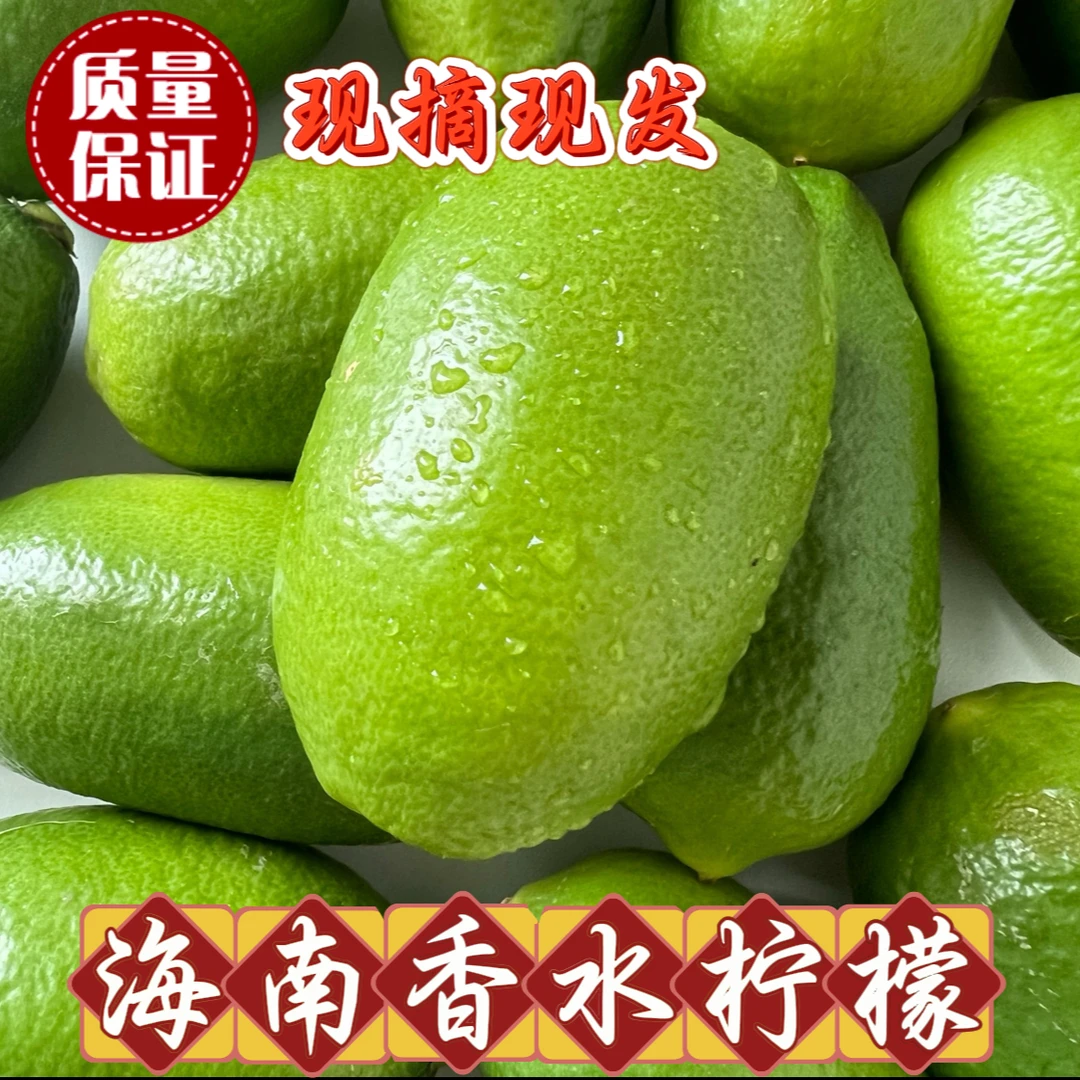海南无籽香水柠檬新鲜水果奶茶店柠檬专用1-9斤