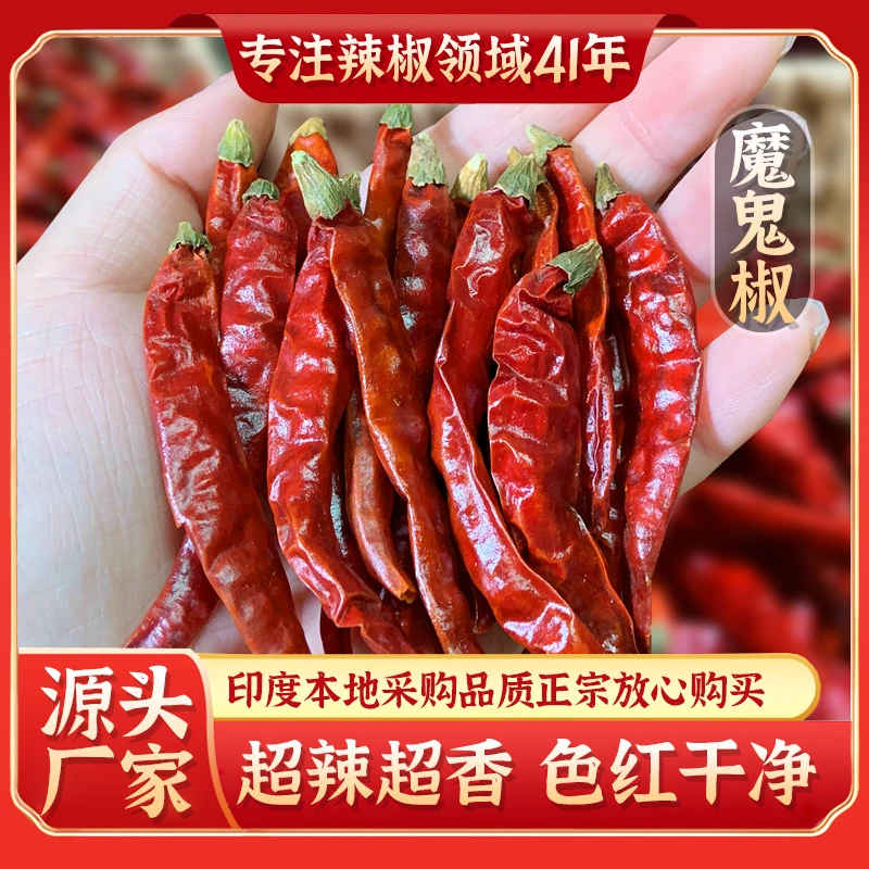 【超辣爆辣】印度魔鬼椒香辣魔鬼椒农家工艺增香增辣椒粉面超辣香
