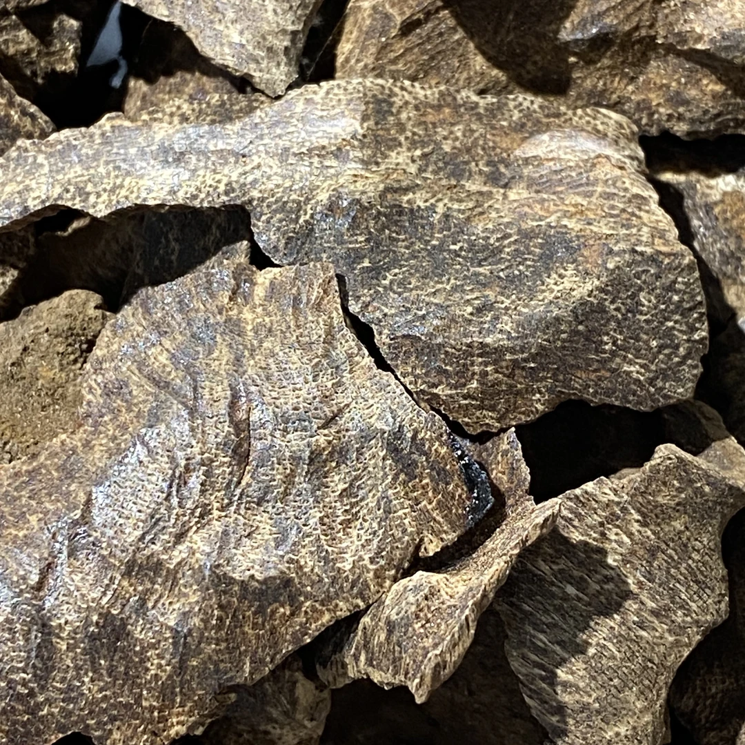 海南野生板头沉香熏香料/九分沉/十克装