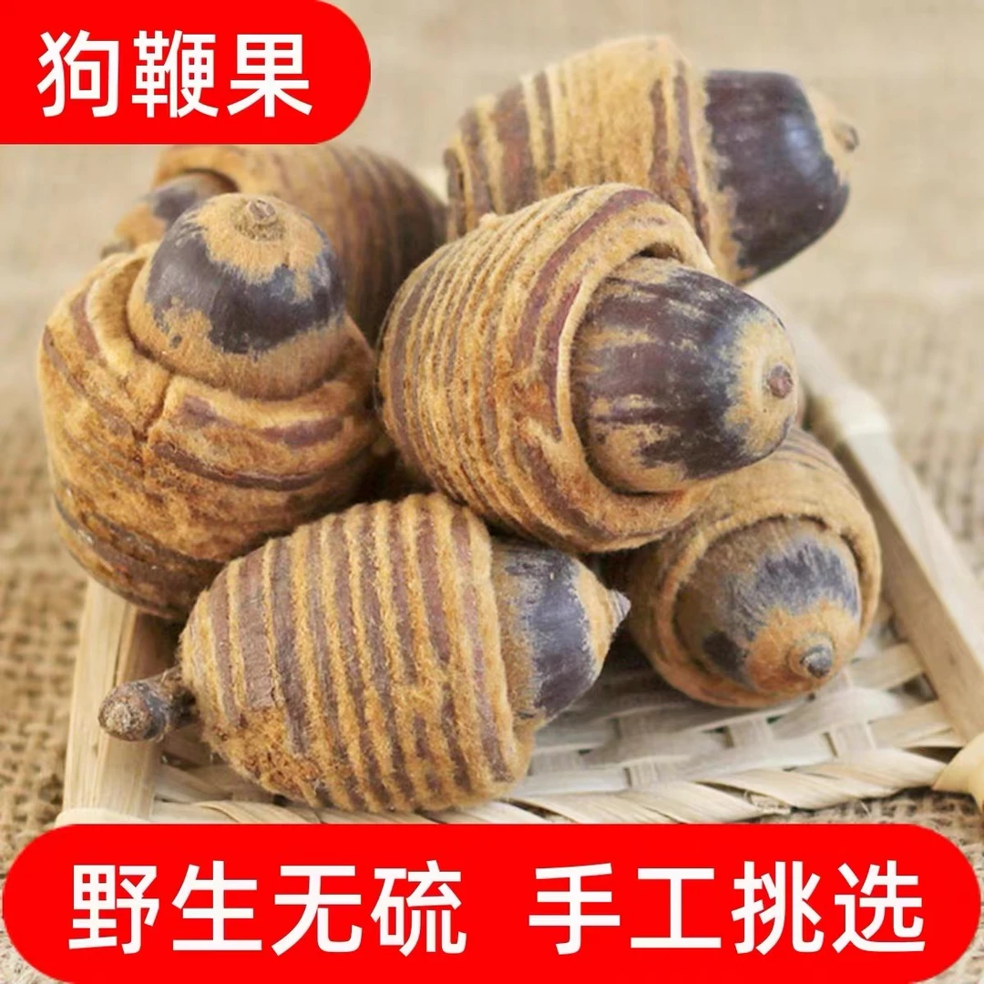 【狗鞭果】毛毛果 250g 野生猛货
