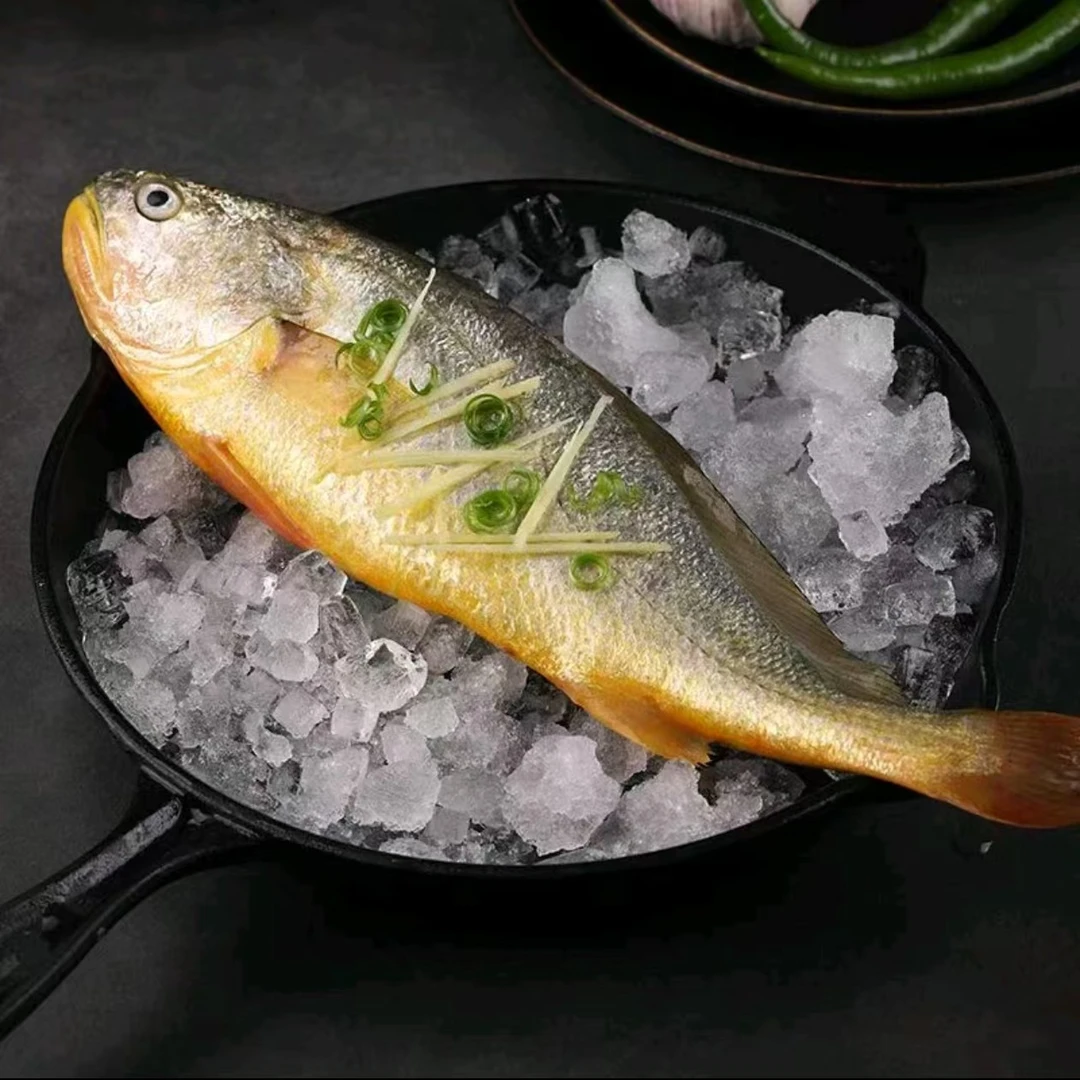 【黄花鱼】鲜黄花鱼1条约 （250g-300g / 500g-550g）