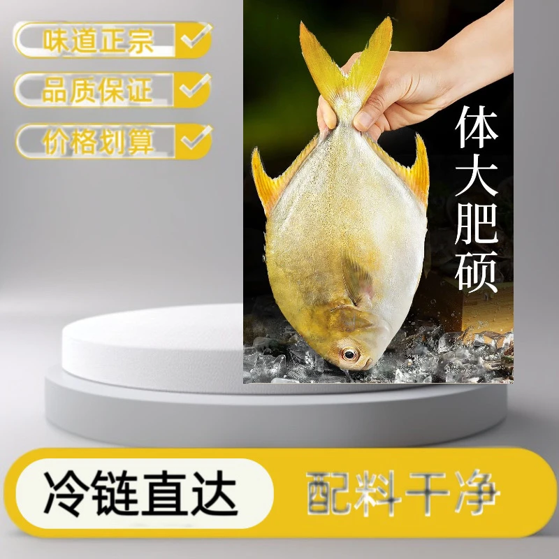 湛江特呈岛特产金鲳鱼干淡晒农家自制鱼干