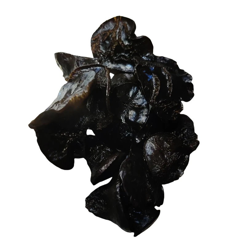 东北当地猪嘴蘑炒菜凉拌做汤保温箱冰袋猪肚菇保质保量顺丰包邮