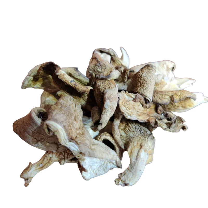 东北新鲜野生干冻蘑干货当年新鲜冻蘑自然晾晒炖肉炖小鸡顺丰包邮