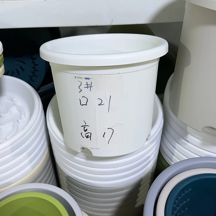 树脂20CM（含）-50CM（不含）3号12个无托