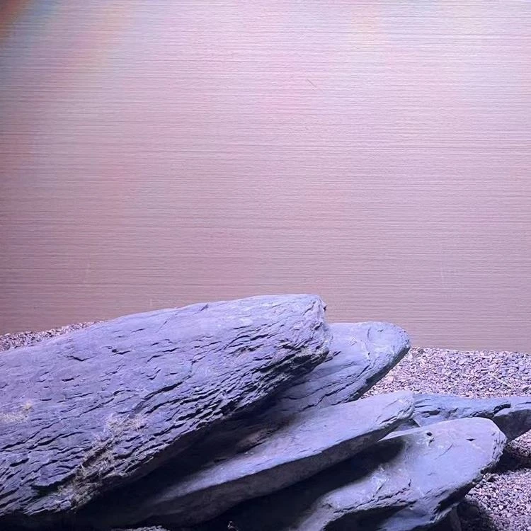 60CM长大号原生缸溪流石造景石片岩石造景石乌龟晒台虾虎鳑鲏鱼缸