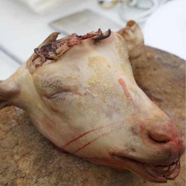羊儿就是牛【羊脑壳】羊肉当天现杀羊脑壳一整个3.5斤左右