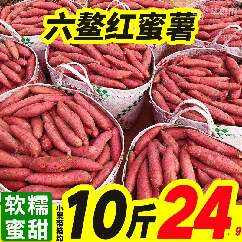 【阿高】福建六鳌红蜜薯带箱农家自种蔬菜新鲜沙地红心红薯大小番薯