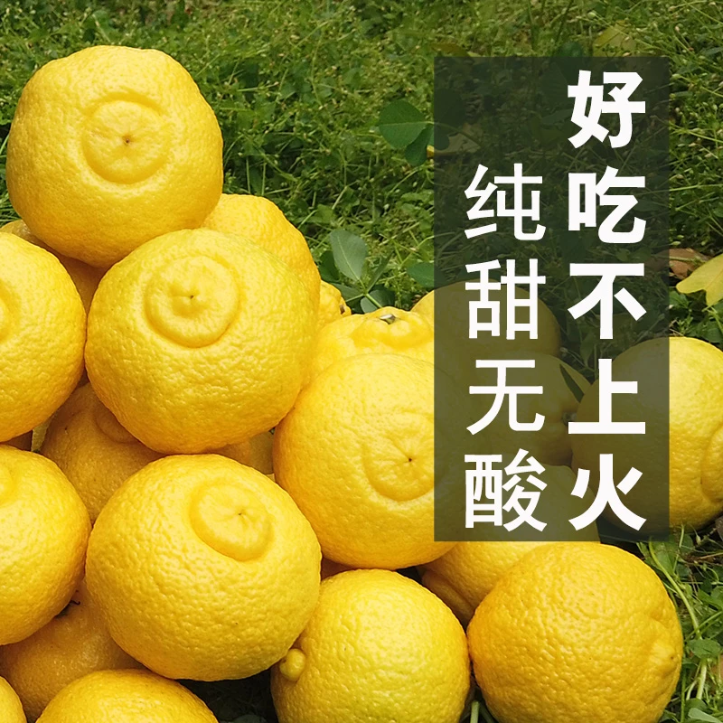 正宗春香金柚新鲜象山青柑橘水果黄金贡柚整箱柚子水果甜桔柚5斤