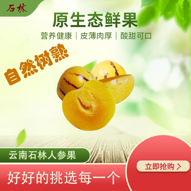 【秋分之后】云南石林人参果自然树上成熟黄果黄肉皮薄新鲜多汁