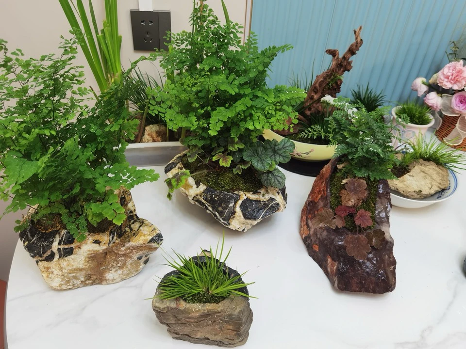 精品灵璧石花盆鱼缸