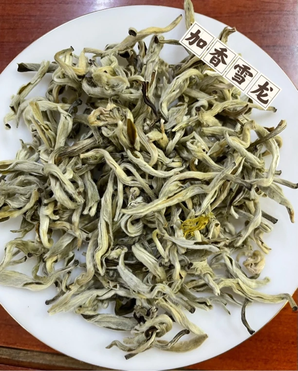 茉莉花茶 加香雪龙 茉莉花茶