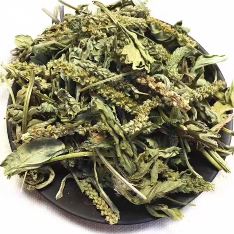 【车前草】中药材 自然晾晒 干货煮水 车轱辘菜 全车草 农家自采