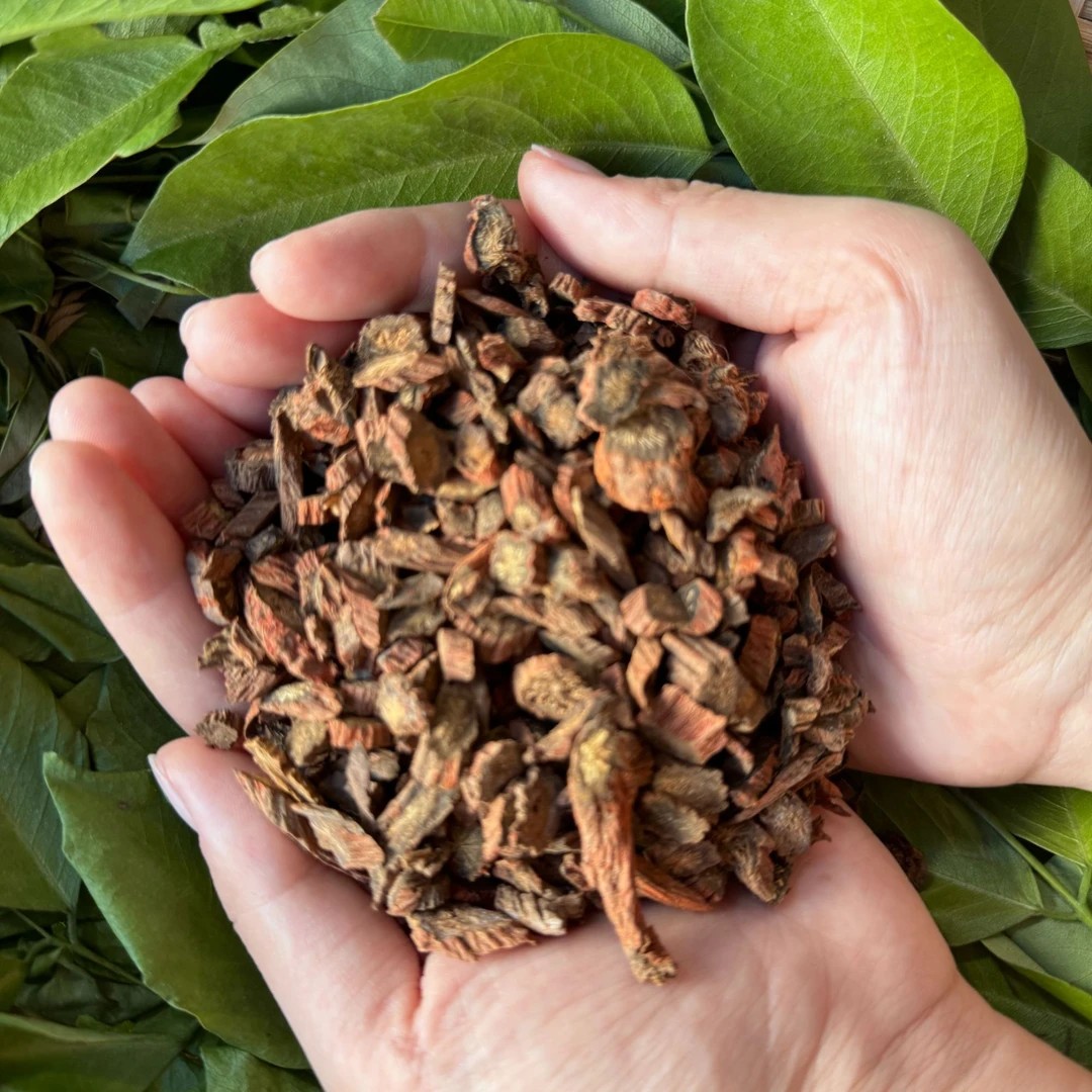 【彭彭先収山货】-紫-花-丹-参-500g-1000g-滋补营养品