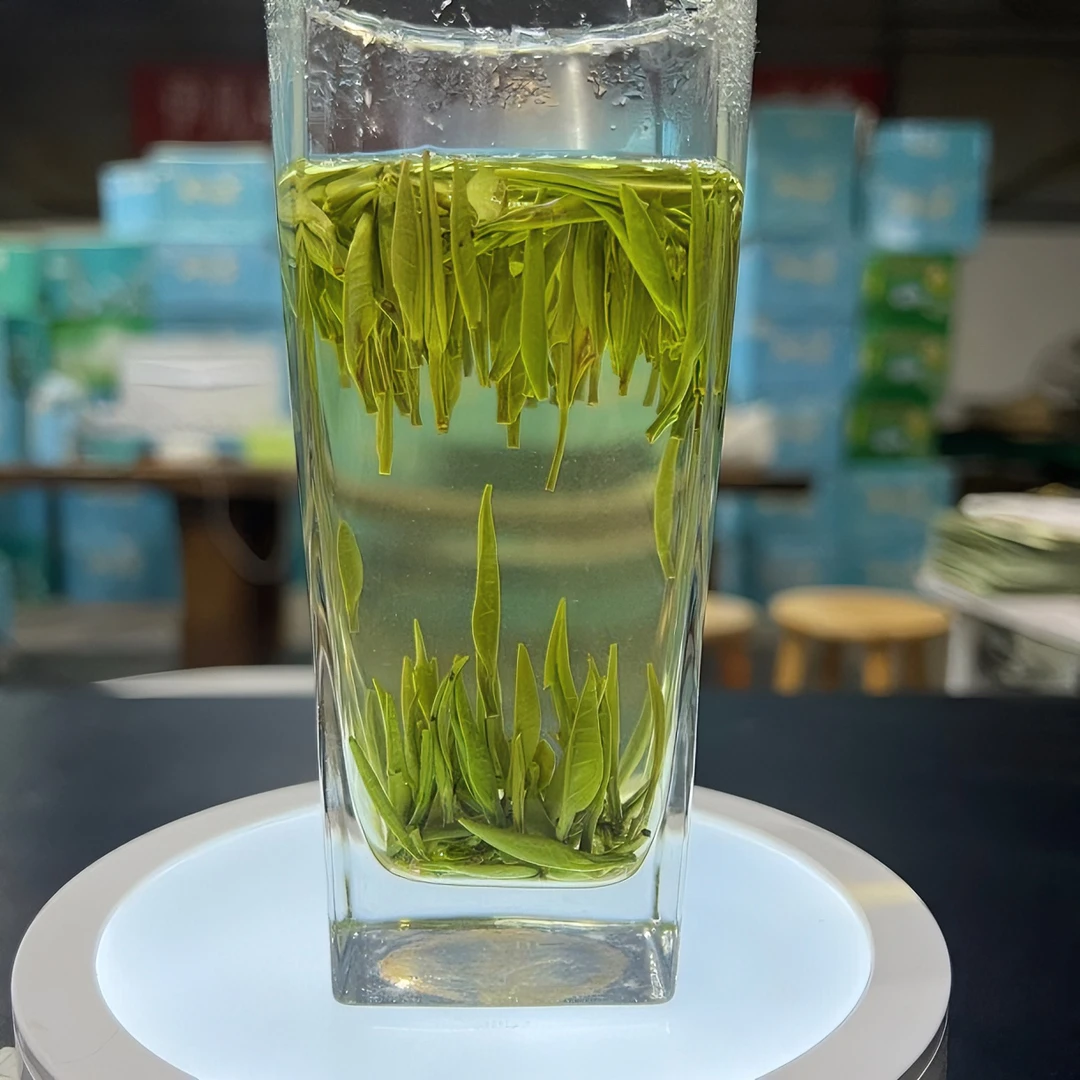 2024年新茶蒙顶（雀舌）绿茶 浓度4泡 耐泡型青绿茶
