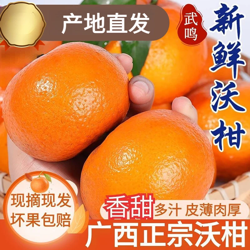 【坏果包赔】沃柑广西武鸣水果新鲜当季5/9斤砂糖橘皇帝粑粑柑汁多
