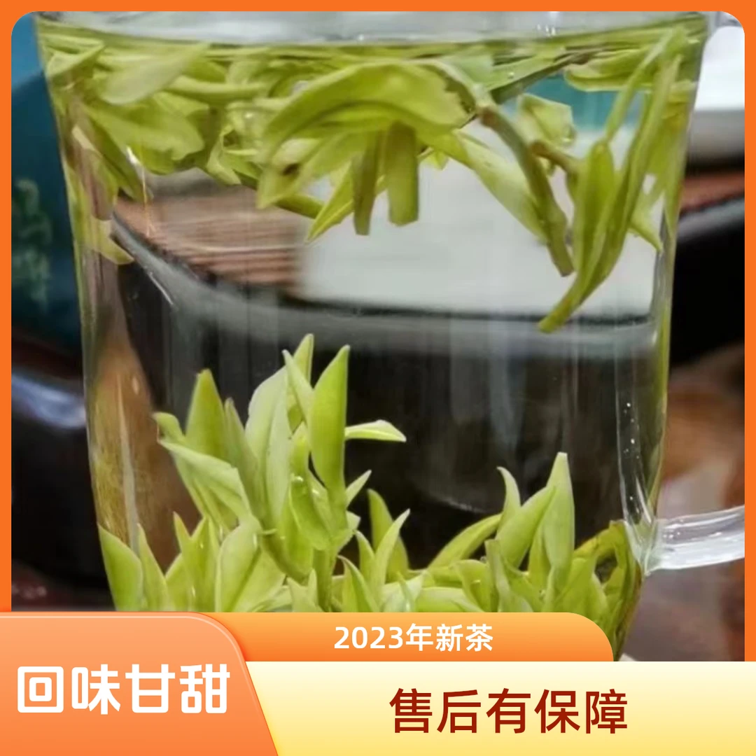 2024年新茶明前头彩，高山小芽头，回味甘甜A08