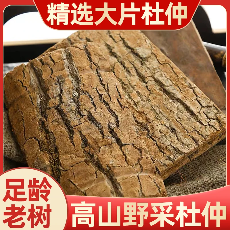 50年四川野外杜仲老树皮杜仲厚块杜仲粉泡水泡酒补充精力耐力