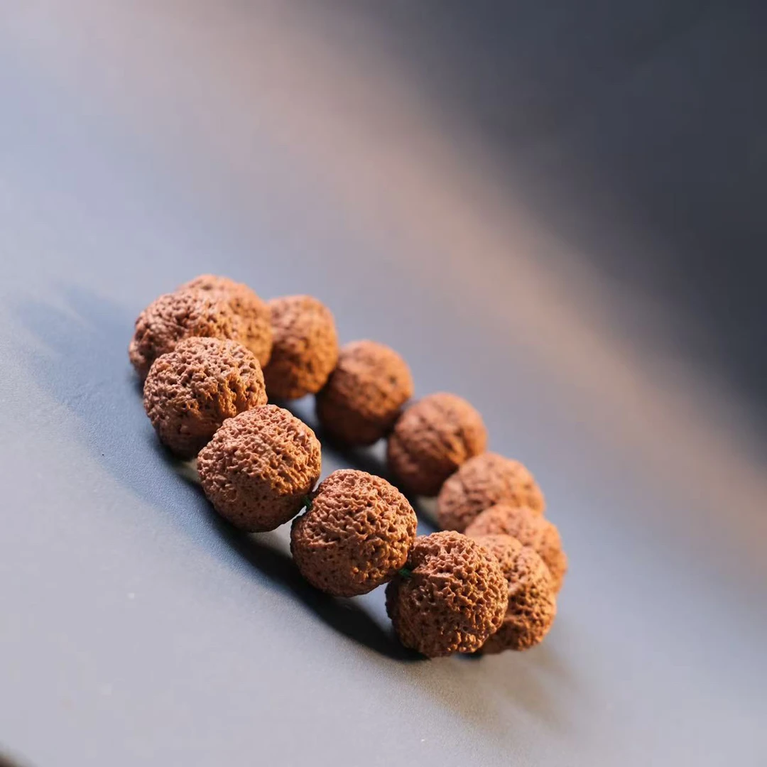 2025年菠萝蜜新籽开售