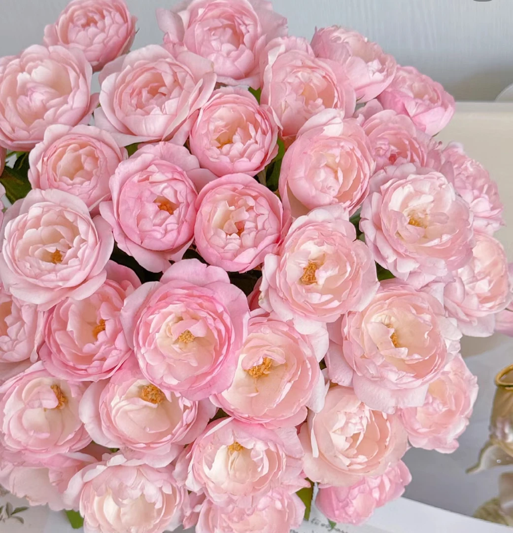 【买二单赠一】草莓杏仁饼 粉嫩小包子 稀有多头