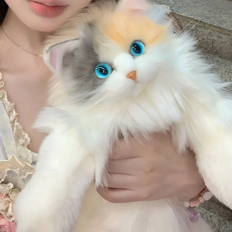 仿真三花布偶猫咪背包双肩包创意玩偶毛绒送女友小朋友生日礼物