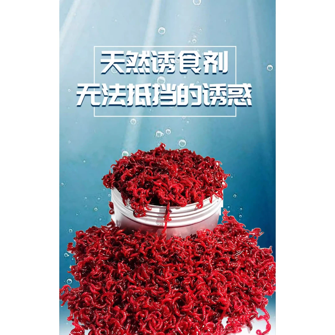 直播福利款鲜活红虫1斤装特惠