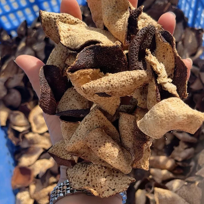 （5-8年陈皮断皮）正宗新会陈皮干广东江门老陈皮泡茶