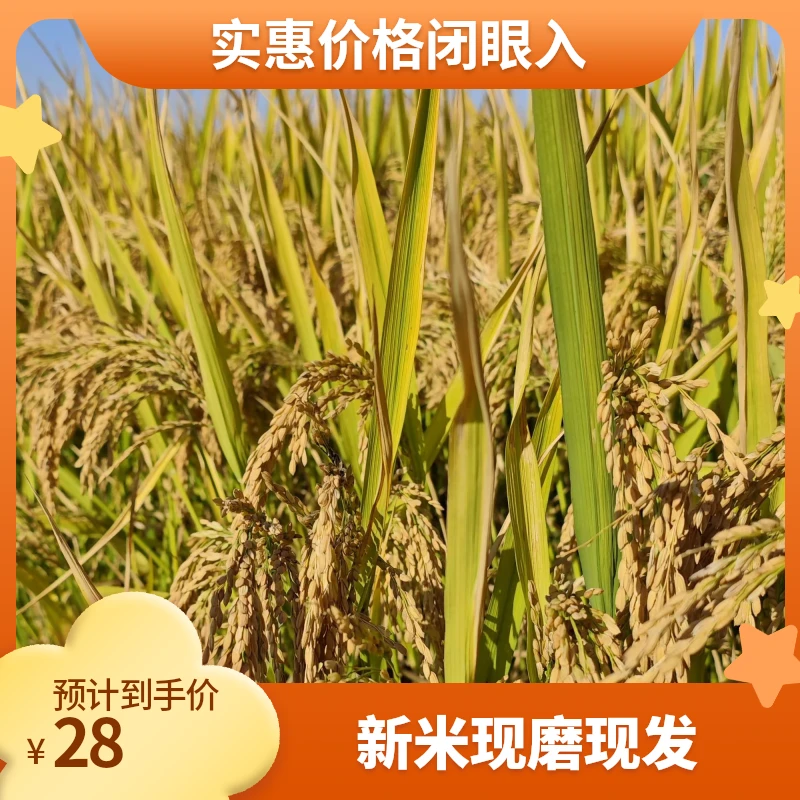 [直发]留庄大米2024年新米现磨绿色食品天然水源灌溉新鲜大米当季