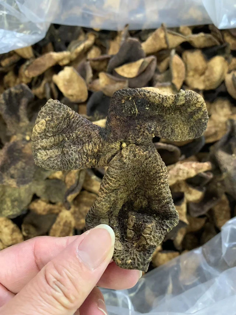 【浓郁甜！狗腩皮】2015年新会南坦圈枝冬后大红皮 晒干陈化