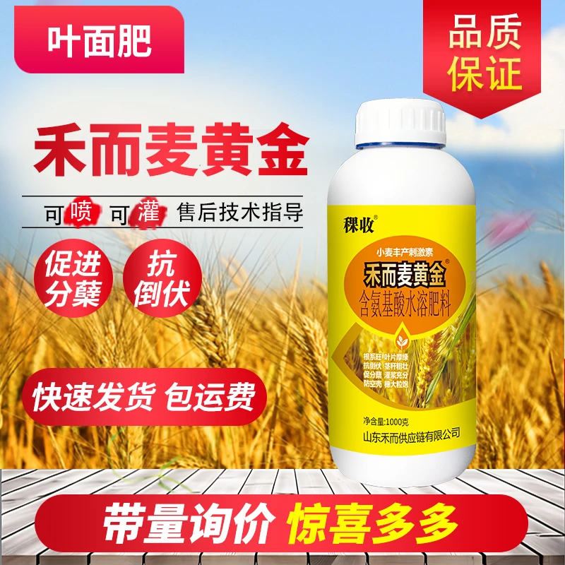禾而麦黄金氨基酸肥料小麦促分蘖促籽粒饱满防冻壮苗麦黄金叶面肥