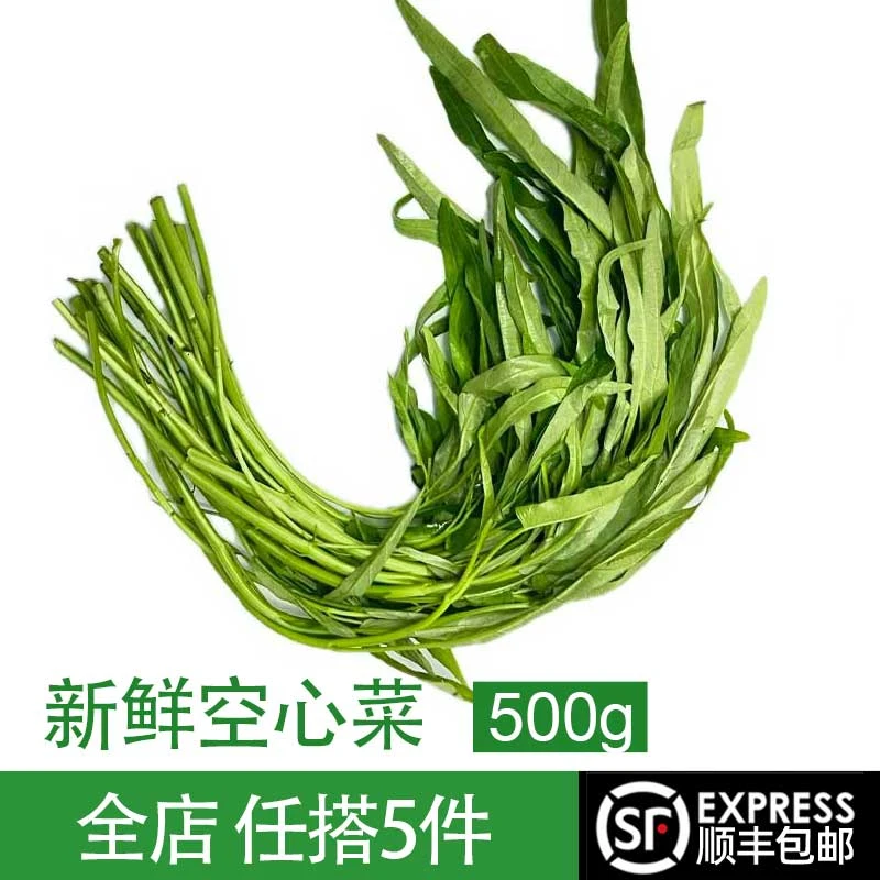 新鲜空心菜 竹叶空心菜农家藤藤菜蕹菜蓊菜通心菜无心菜空筒菜
