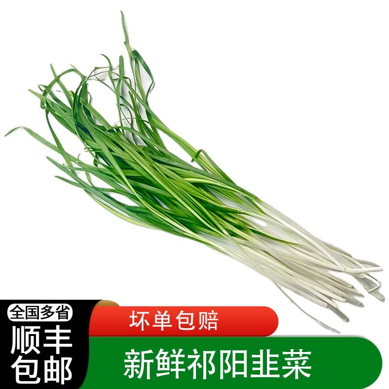 绿食者祁阳白韭菜韭白菜新鲜蔬菜韭白供应餐厅酒店时令蔬菜