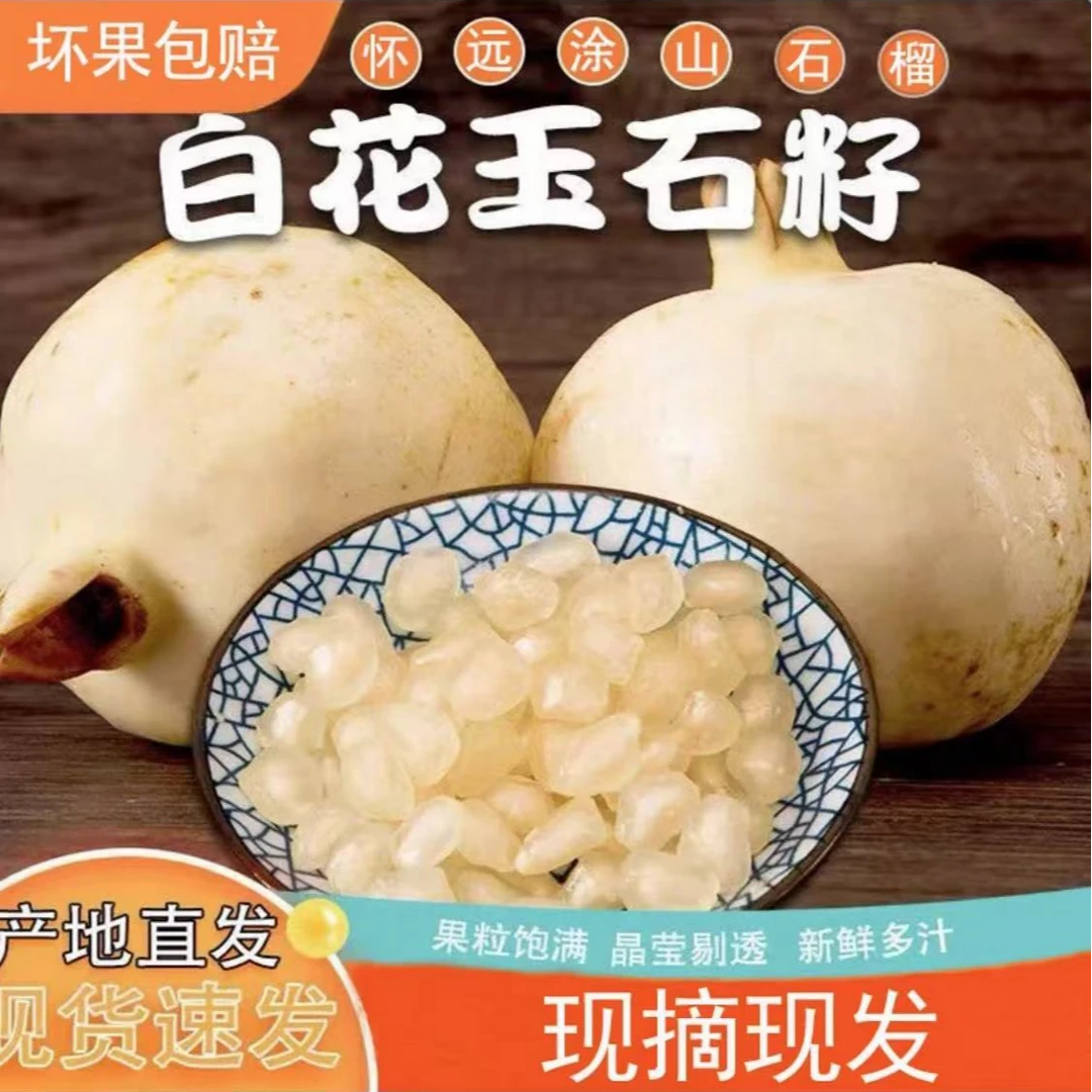 正宗怀远白花玉石籽石榴6两到1斤口感甘甜脆爽可口