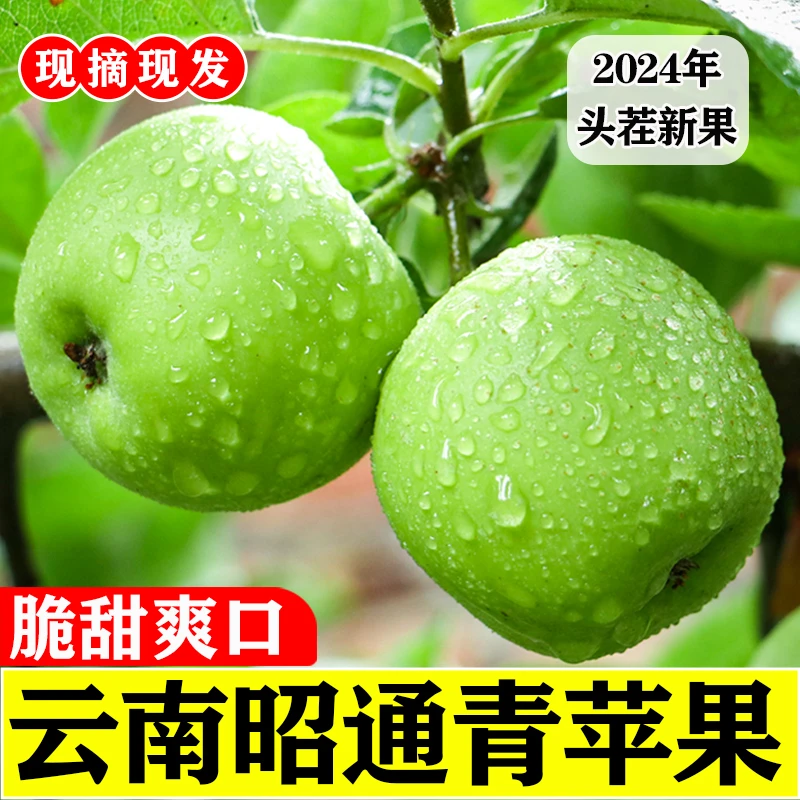 云南昭通脆甜青香蕉 青露苹果新鲜现摘现发当季原产地直供水果5斤