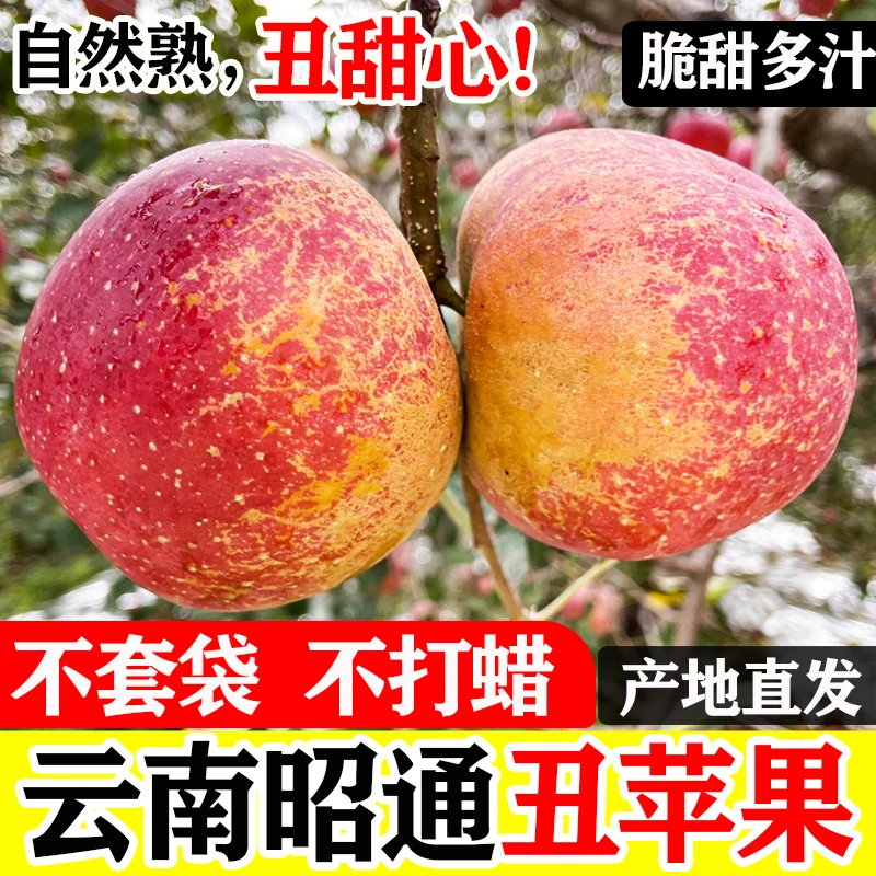 云南昭通冰糖心丑苹果红富士新鲜水果脆甜多汁现摘现发5/9斤果园