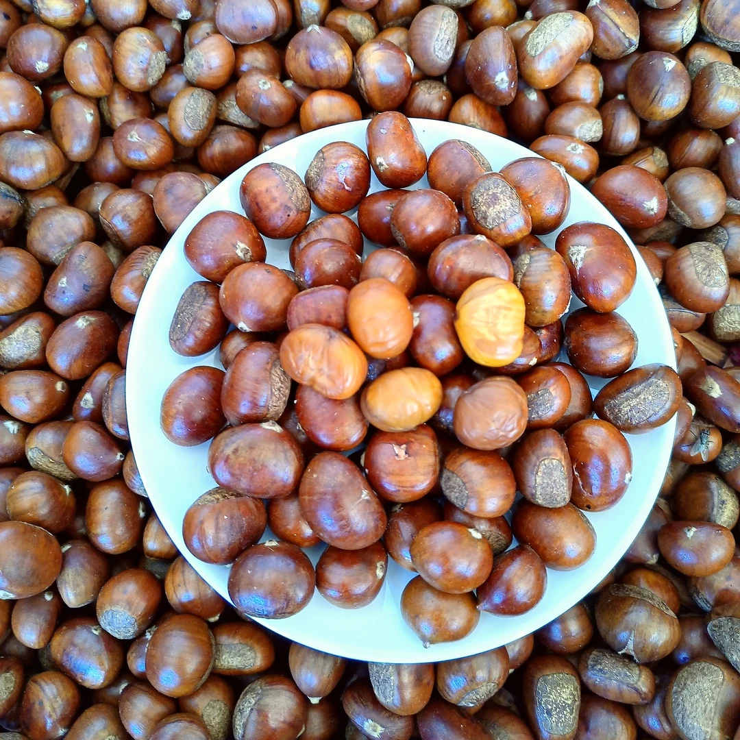 (熟毛栗）安徽特产舒城晓天野生小毛栗3斤/5斤 皮薄深山