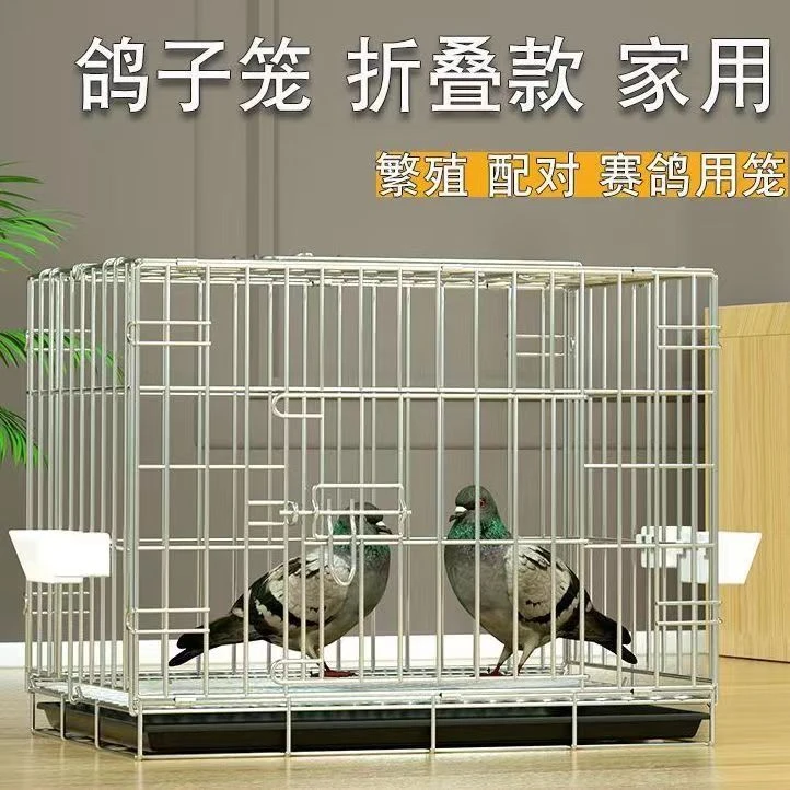 鸽子笼大号家用折叠带隔断鸽笼配对养殖繁殖笼子鸽子用具鸽棚鸽舍