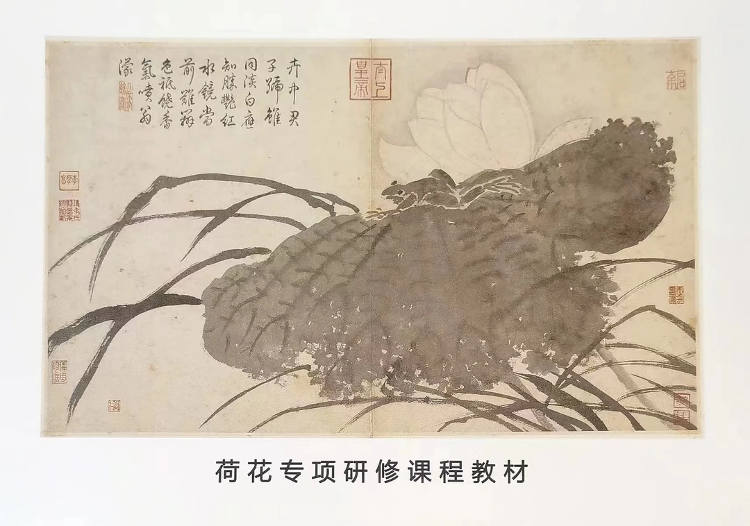 得心楼-荷花专项研修课程同步资料