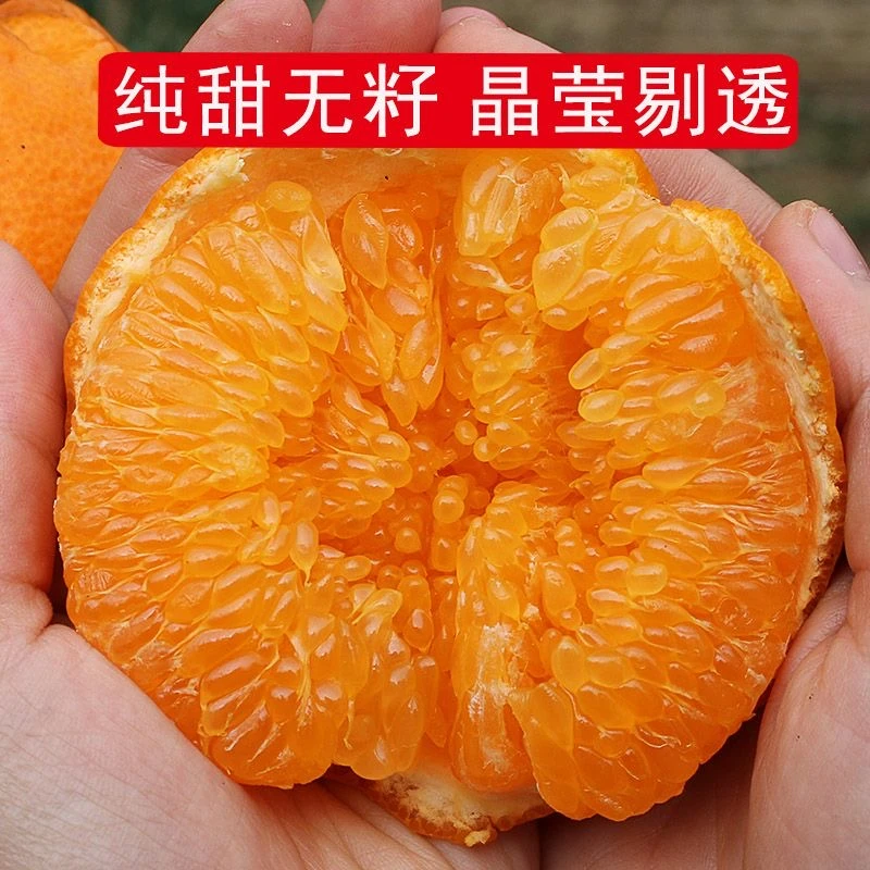 四川春见耙耙柑粑粑柑橙子4-8斤甜蜜当季新鲜甜脆无核多汁丑橘甜