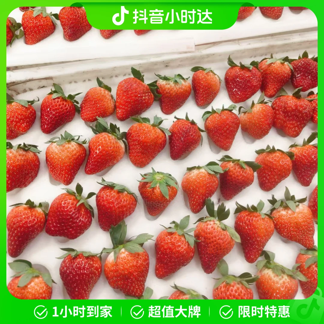 大草莓1斤（500g）