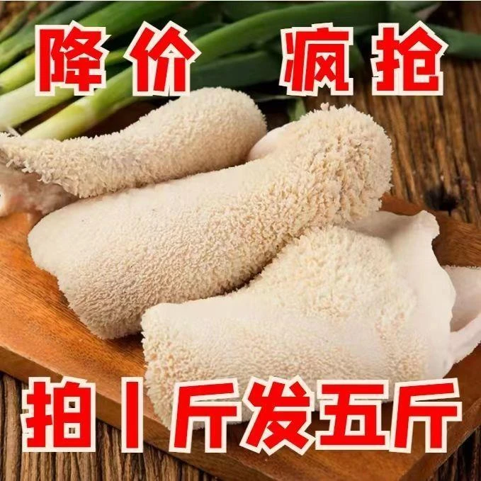 黄牛整块大肚熟牛杂类牛肚肉商用牛杂牛肚火锅食材新鲜牛肚一整只