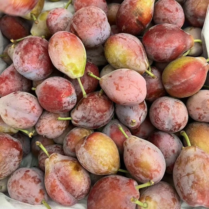 【特价西梅】昆明专享送货上门约3.4kg