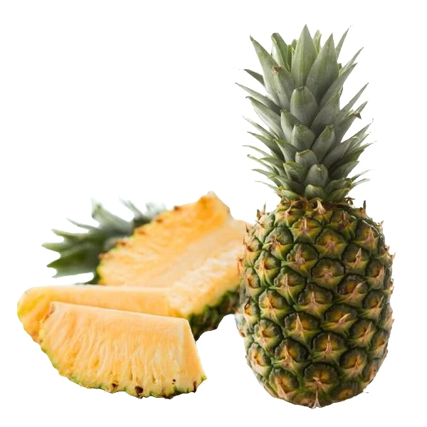 【配送到家】菲律宾蜂蜜凤梨500g